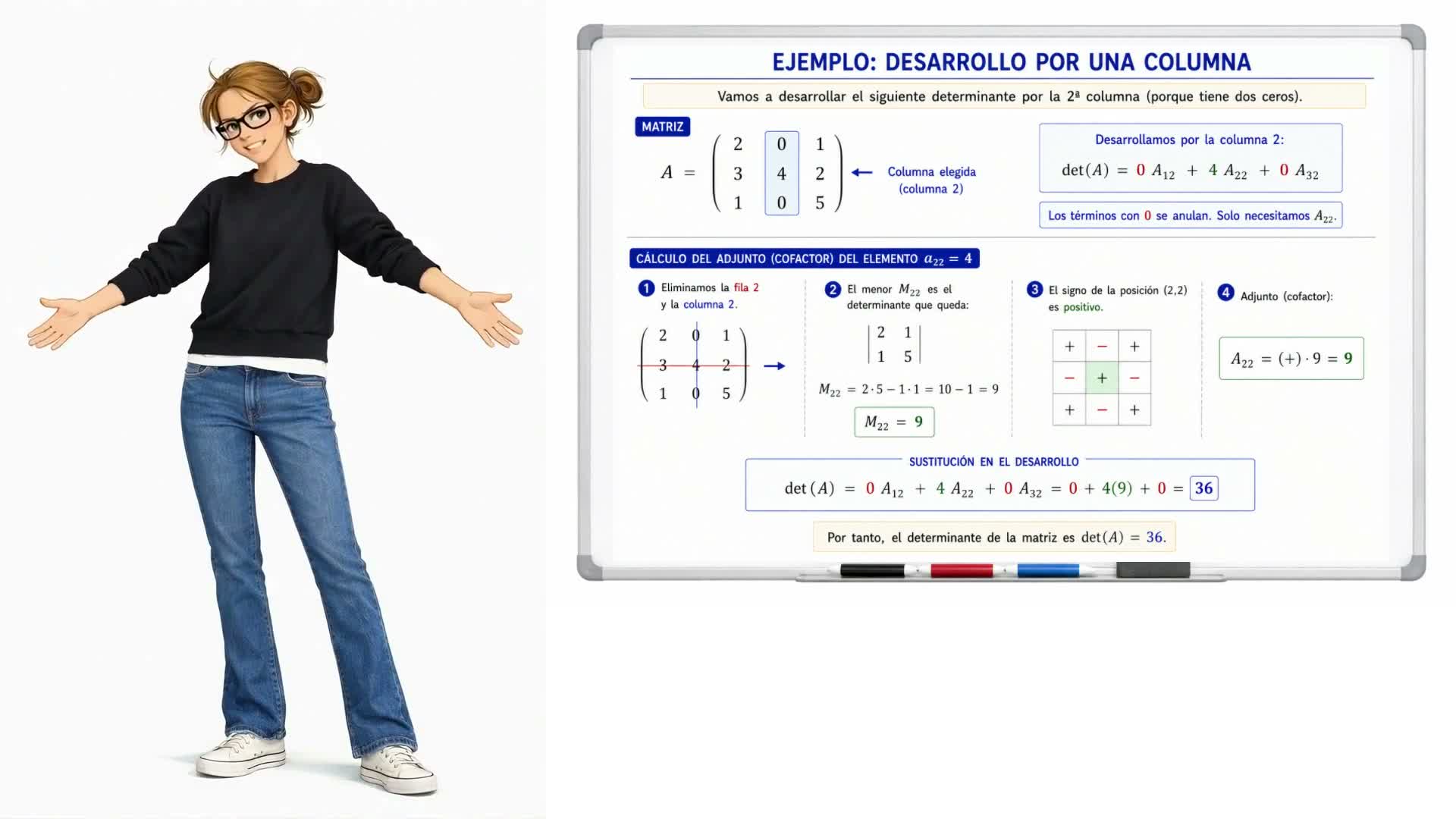 Desarrollo de un determinante por columnas