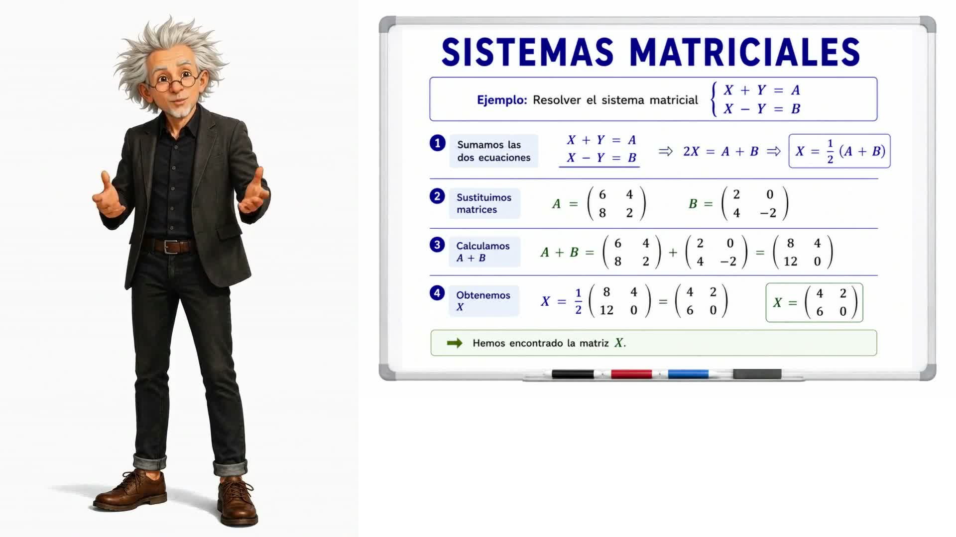 Sistemas matriciales